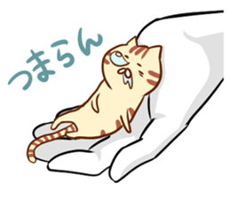 Messenger of the companion cats version2 sticker #2026920