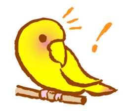 "PEACH", Peach-faced Lovebird sticker #2027485