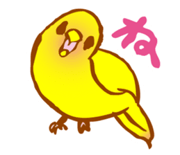 "PEACH", Peach-faced Lovebird sticker #2027486