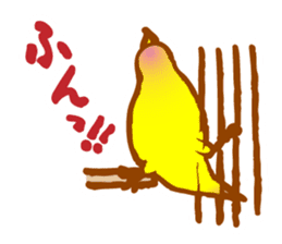 "PEACH", Peach-faced Lovebird sticker #2027491