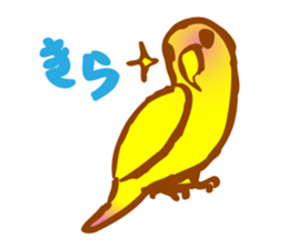 "PEACH", Peach-faced Lovebird sticker #2027492