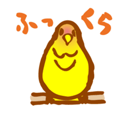 "PEACH", Peach-faced Lovebird sticker #2027493