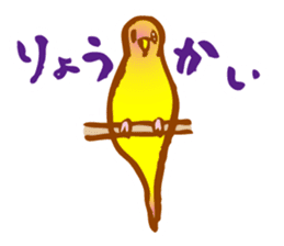 "PEACH", Peach-faced Lovebird sticker #2027501