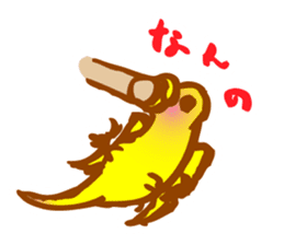 "PEACH", Peach-faced Lovebird sticker #2027502