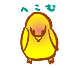 "PEACH", Peach-faced Lovebird sticker #2027506