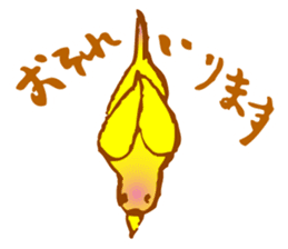 "PEACH", Peach-faced Lovebird sticker #2027510