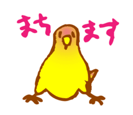 "PEACH", Peach-faced Lovebird sticker #2027511