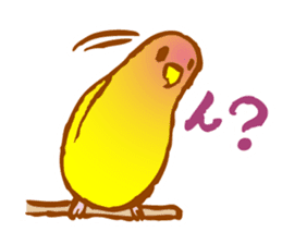 "PEACH", Peach-faced Lovebird sticker #2027521
