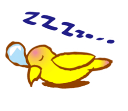 "PEACH", Peach-faced Lovebird sticker #2027523