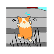 Shiba and Corgi sticker #2028509