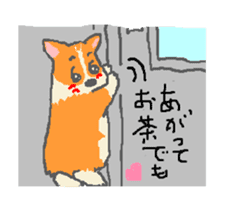 Shiba and Corgi sticker #2028512