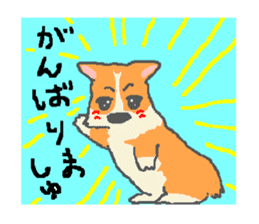 Shiba and Corgi sticker #2028513