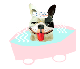 Let's talk "French Bulldog" sticker #2029071