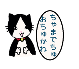 Baby talk cat by miko sticker #2030147
