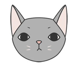 cutie cat face sticker #2030525