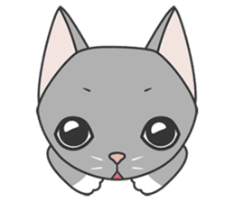 cutie cat face sticker #2030549