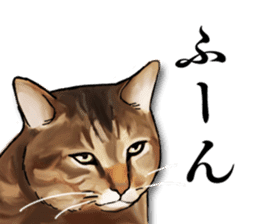 Futaro The Cat "Okawari" sticker #2036365