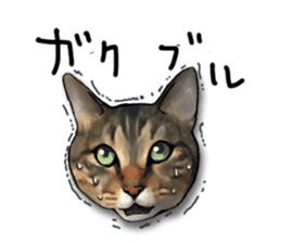 Futaro The Cat "Okawari" sticker #2036367