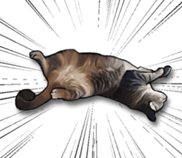 Futaro The Cat "Okawari" sticker #2036369