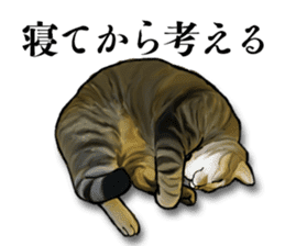 Futaro The Cat "Okawari" sticker #2036370
