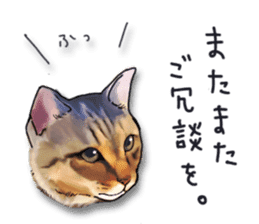 Futaro The Cat "Okawari" sticker #2036373