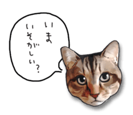 Futaro The Cat "Okawari" sticker #2036374