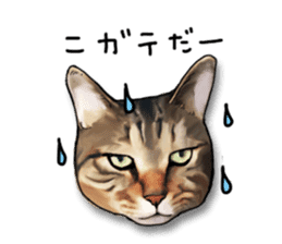 Futaro The Cat "Okawari" sticker #2036376