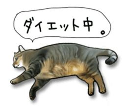 Futaro The Cat "Okawari" sticker #2036379
