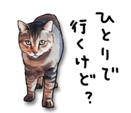 Futaro The Cat "Okawari" sticker #2036380