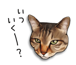 Futaro The Cat "Okawari" sticker #2036381