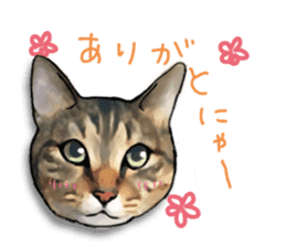 Futaro The Cat "Okawari" sticker #2036383