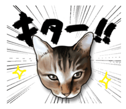 Futaro The Cat "Okawari" sticker #2036385