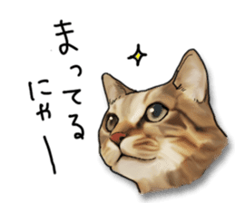 Futaro The Cat "Okawari" sticker #2036386