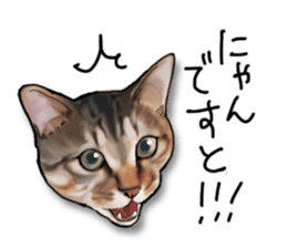Futaro The Cat "Okawari" sticker #2036387