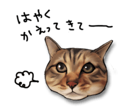 Futaro The Cat "Okawari" sticker #2036388