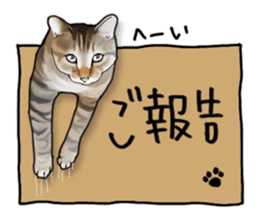 Futaro The Cat "Okawari" sticker #2036389