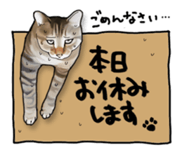 Futaro The Cat "Okawari" sticker #2036390