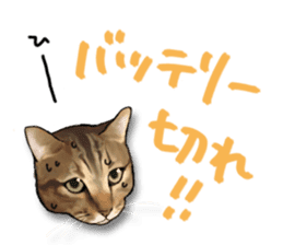 Futaro The Cat "Okawari" sticker #2036391