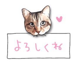 Futaro The Cat "Okawari" sticker #2036392