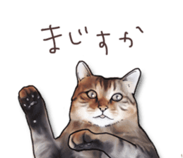 Futaro The Cat "Okawari" sticker #2036395