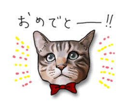 Futaro The Cat "Okawari" sticker #2036396