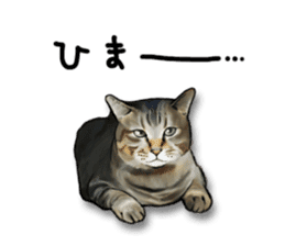 Futaro The Cat "Okawari" sticker #2036398