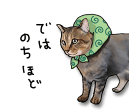 Futaro The Cat "Okawari" sticker #2036400