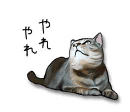Futaro The Cat "Okawari" sticker #2036401