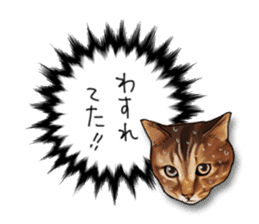 Futaro The Cat "Okawari" sticker #2036403