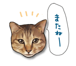 Futaro The Cat "Okawari" sticker #2036404