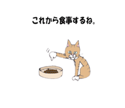 Cat sometimes human Square Second bounce sticker #2036949