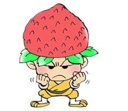 Fruit novices. Spend Ninja sticker #2038738