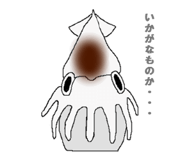 Squid sticker. sticker #2040780