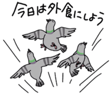 Pigeon 2 sticker #2040979